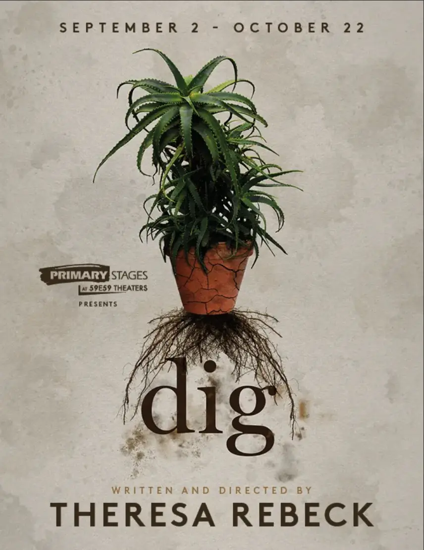 DIG